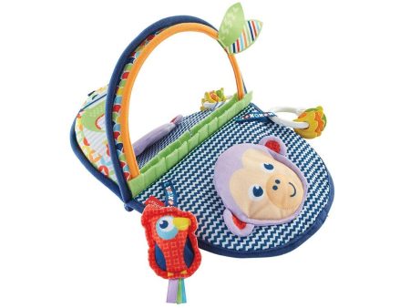 fisher price monito de actividades Discount